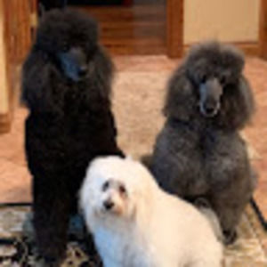 Meet your Posher, Mary ann